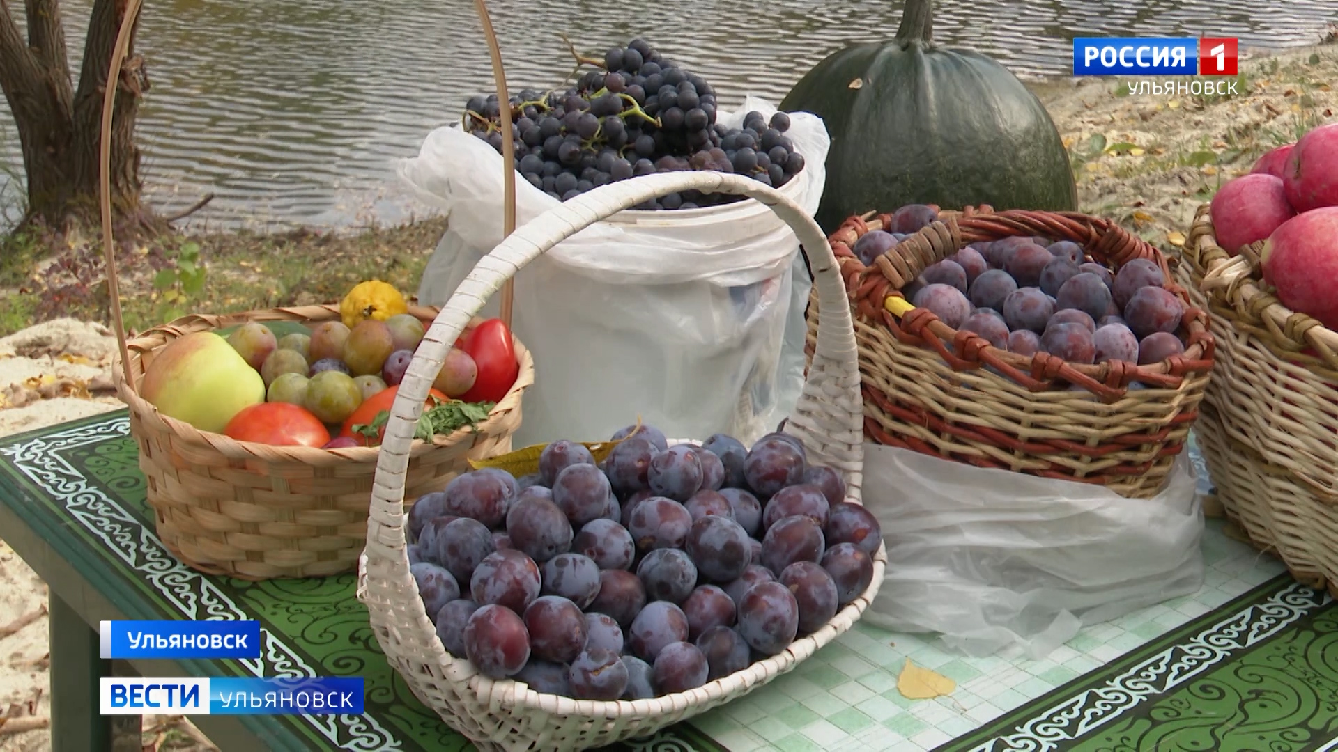 В конце сентября в Ульяновской области традиционно отмечается день садовода.
