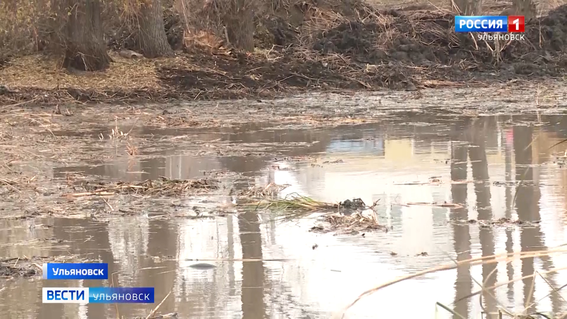 димитровград рыба парк