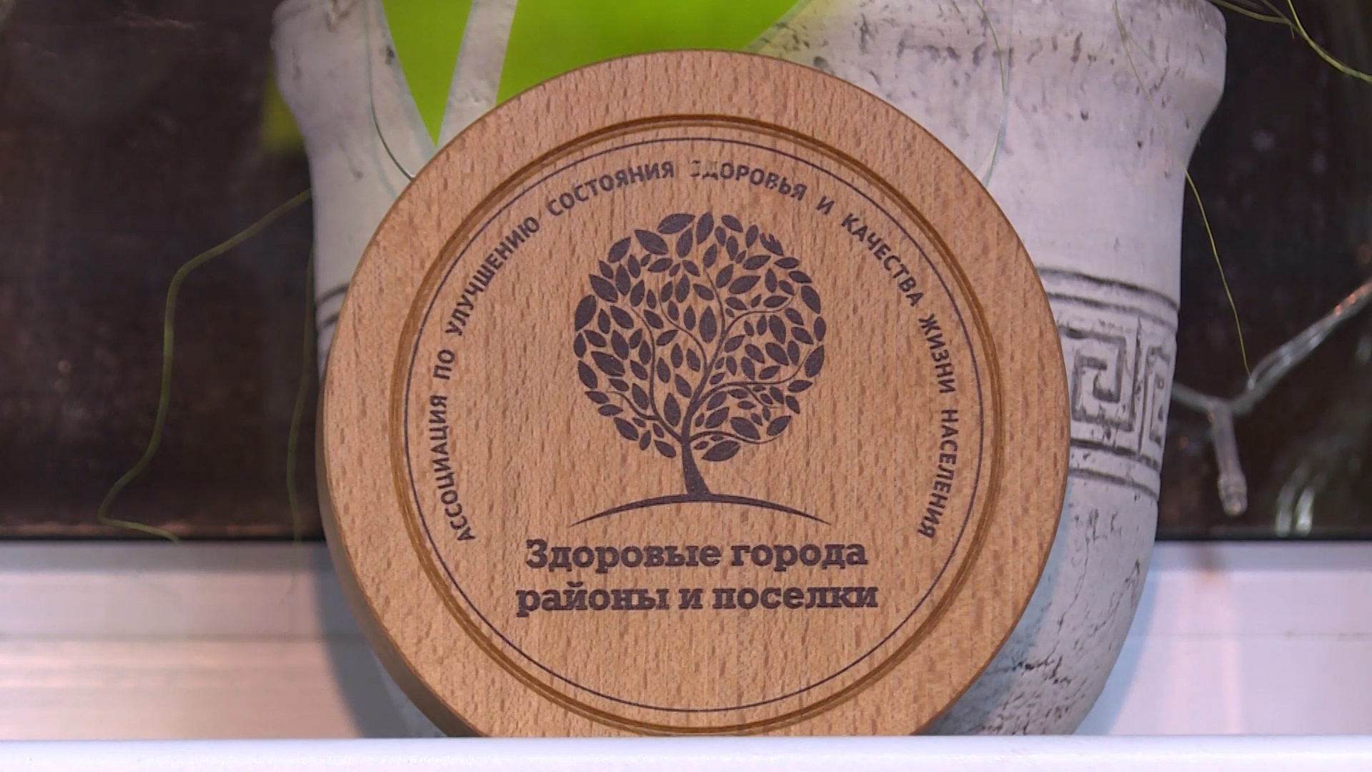 Программа поддержки ТОС в Ульяновске